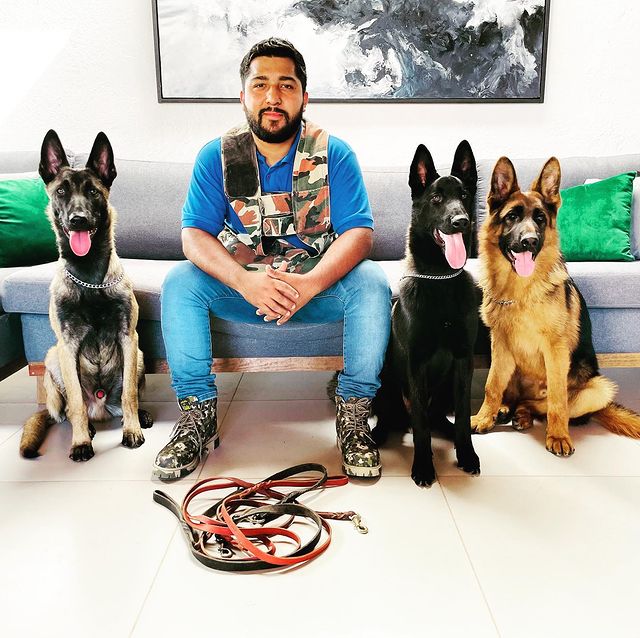 Miguel Buenrostro sentado en sillon con 3 perros raza pastor en Instindog